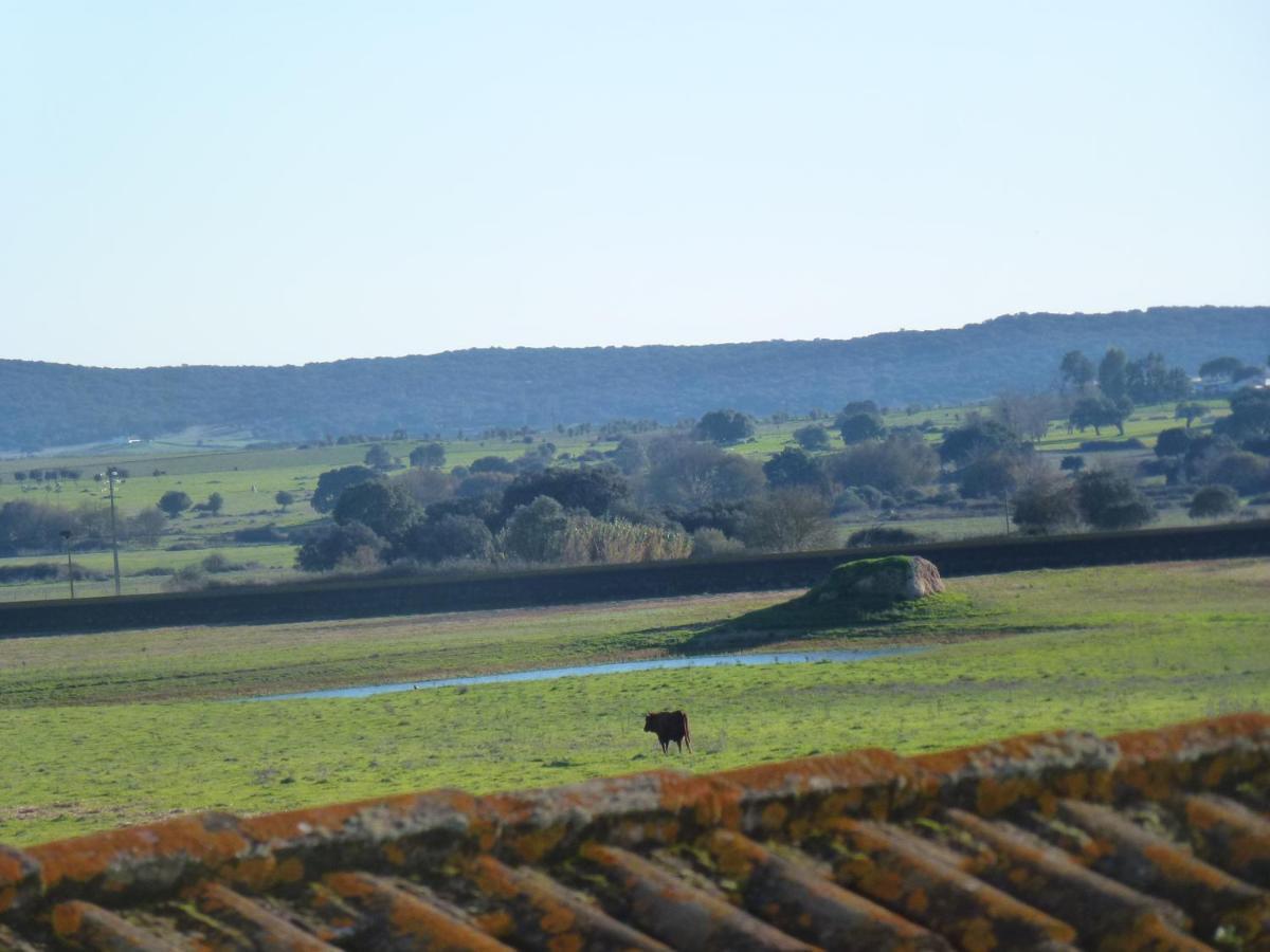 Monte Das Oliveiras Arraiolos Bagian luar foto